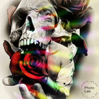 daltonlevi avatar