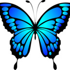 missbutterfly avatar